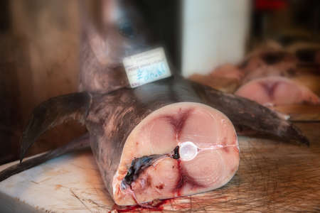 Fresh fish solds on seafood market in Italy. Swordfish