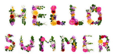 Hello Summer - June design font concept. Seasonal decorative beautiful type mades from multi-colored blooming flowers and grass. Natural summertime alphabet.の写真素材