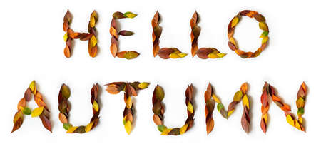 Hello Autumn - fall design font concept. Seasonal decorative beautiful type is made from multi-colored leaves. Natural autumnal alphabet.の写真素材