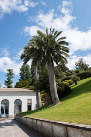 Park in villa Melzi with great landscaping and beautiful plants in spring, beauty in nature at springtime, Italy, Lombardyの写真素材