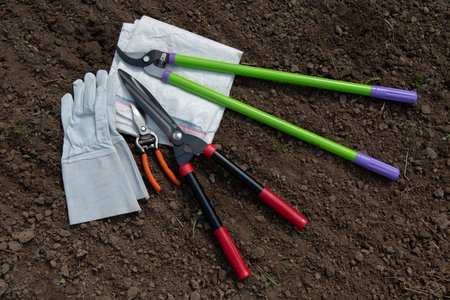 Protective leather gloves, loppers, hand pruners, hedge trimmers and trash bags. Tools for pruning...