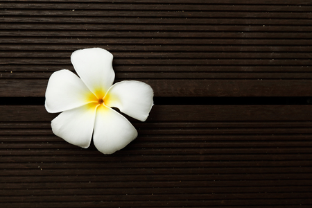 White Plumeria flower on the floorの写真素材