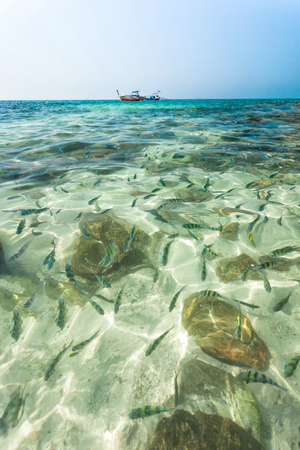 Khoa kai Phuket Clear sea and skyの写真素材