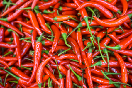 Hot Red chilli pattern