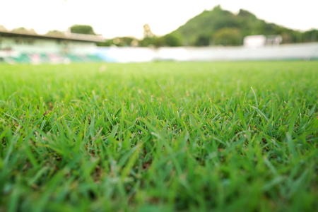 Green grass sport stadiumの写真素材