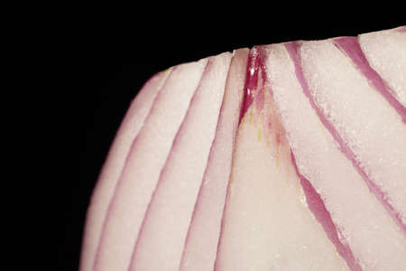 Red onion raw close up macro patternの写真素材