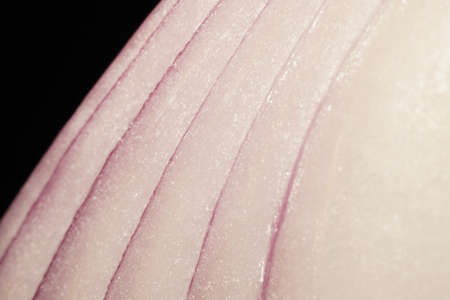 Red onion raw close up macro patternの写真素材