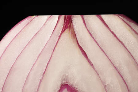 Red onion raw close up macro patternの写真素材