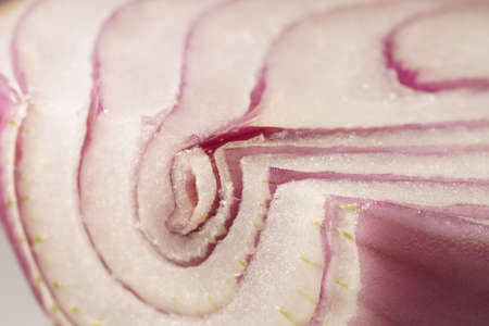 Red onion raw close up macro pattern