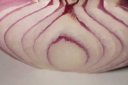 Red onion raw close up macro patternの写真素材