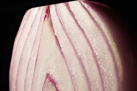 Red onion raw close up macro pattern