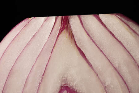 Red onion raw close up macro patternの写真素材