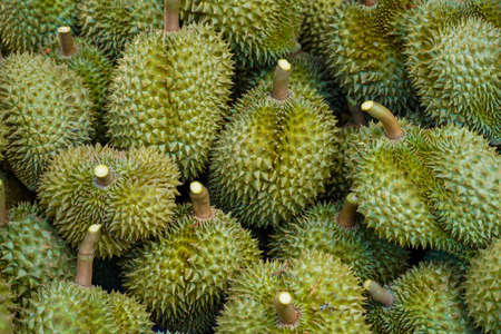 Durian pattern background shuffle random adjust Thailand fruitの写真素材