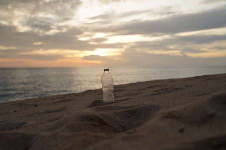 PET Plastic bottle trash on shore beachの写真素材