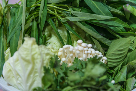 close up fresh vegetables for sukiyaki potの写真素材