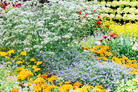Pretty manicured flower garden with colorful azaleas.の写真素材