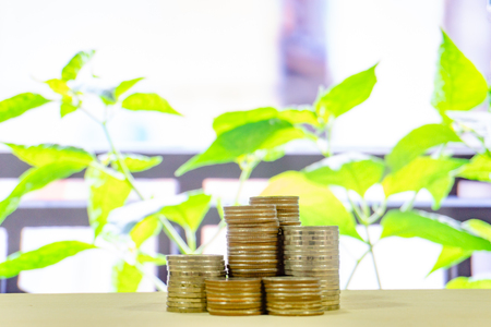 Stack of money with blured background , finance concept,saving money concept,save money,prepare life for the futureの写真素材