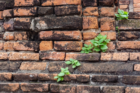 Old brick wall, Close Up old texture of red stone blocks.の写真素材