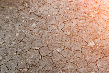 Dried cracked earth soil ground texture background.の写真素材