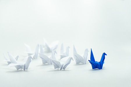 Close up red bird leading among white, Leadership concept.の写真素材