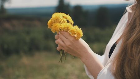 Girl with natural appearance in a white shirt collects dandelions in a field in summerの写真素材