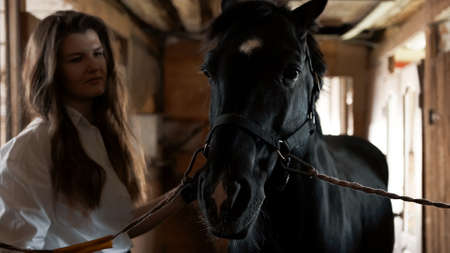 Girl in a white shirt and gloves combing a horseの写真素材
