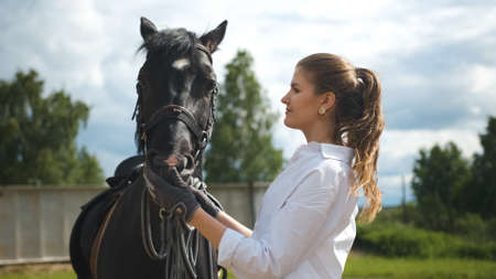 A girl in a white shirt feeds a horse from her arms on the street in warm sunny weather