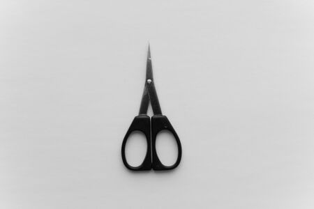 small scissors with black stainless steel handle a white backgroundの写真素材