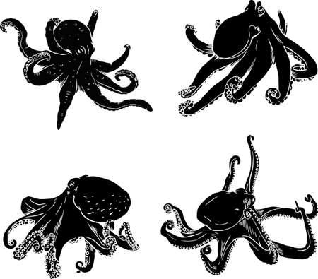 Octopus vector icon set. Devilfish illustration. Fish symbol.のイラスト素材