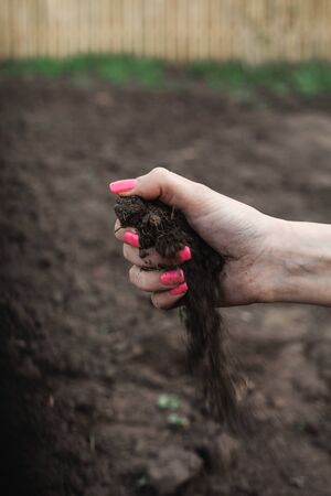 The girl clutches a handful of earth in her hand. Handful of Rich Brown Soil. Pink manicure.の写真素材