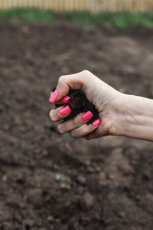 The girl clutches a handful of earth in her hand. Handful of Rich Brown Soil. Pink manicure.の写真素材