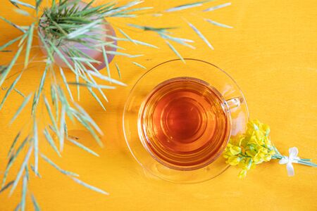 Cup of tea in a transparent cup with a saucer, field herbs, yellow flowers on a yellow wooden background. View from above. Cute summer flat lay.の写真素材