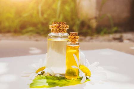 Essential flower oil in small glass bottles and fresh chamomile flowers around. The concept of spa,...