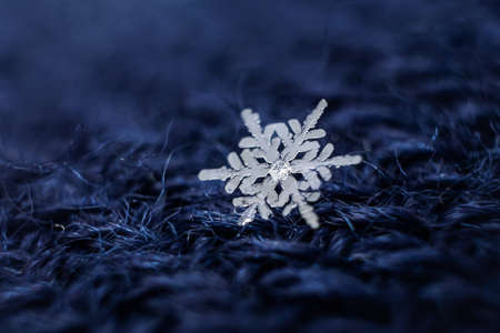Snowflakes close-up. Macro photo. The concept of winter, cold, beauty of nature. Copy space.