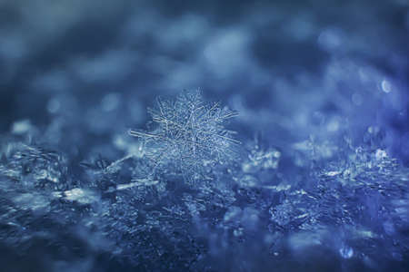 Snowflakes close-up. Macro photo. The concept of winter, cold, beauty of nature. Copy space.