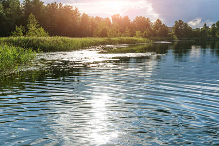 Summer landscape: the sky with clouds and the forest on the horizon are reflected in the clear water...