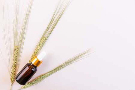 Natural essential oil and cereals in still life compositions. Apothecary concept. Neutral colors. Flat lay, top view. Copy space.の写真素材