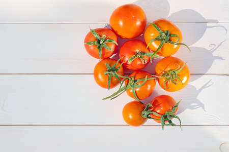 The concept of harvesting vegetables directly from the vegetable garden. Fresh tomatoes on a white wooden background. Copyspace, top view.の写真素材