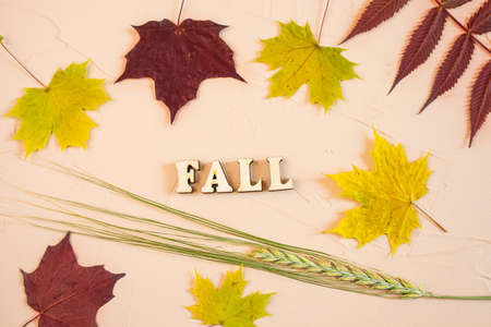 The inscription FALL in wooden letters on a light background, around - autumn burgundy and yellow leaves. View from above.の写真素材