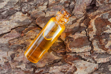 A bottle of natural essential oil lies on the bark of a tree with a beautiful texture. Concept for...
