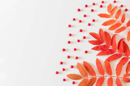 Autumn flat lay: red rowan leaves and red berries on a pastel neutral background. Top view, copy...