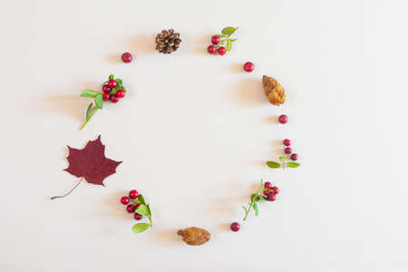 Autumn flat lay: red and yellow leaves, red berries, cones on a pastel neutral background. Top view,...