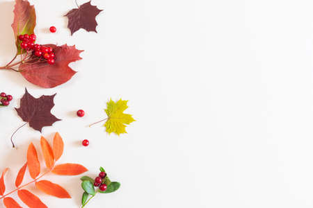 Autumn flat lay: red and yellow leaves, red berries, cones on a pastel neutral background. Top view,...