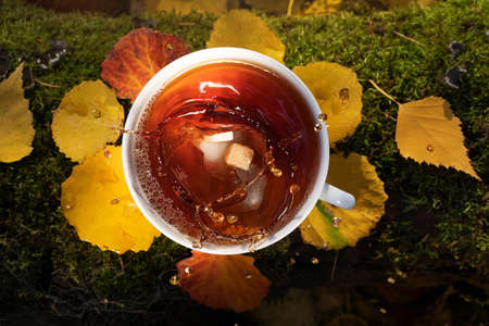 A cup of fresh hot tea is among the autumn leaves. Spectacular splash in the cup. Concept for natural drinks, hiking, camping, autumn season. View from above.の写真素材
