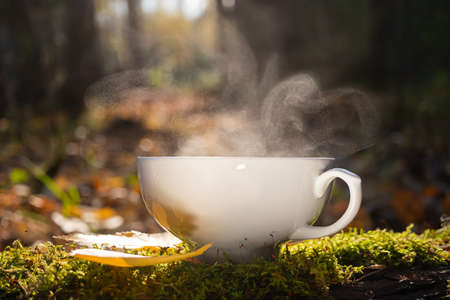 A cup of fresh hot tea in the forest, among the moss and autumn leaves. Spectacular natural steam. The concept of natural drinks, hiking, camping, autumn season.の写真素材