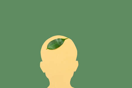 Silhouette of a human head and a green leaf on it. Minimalistic concept think green, environment,...