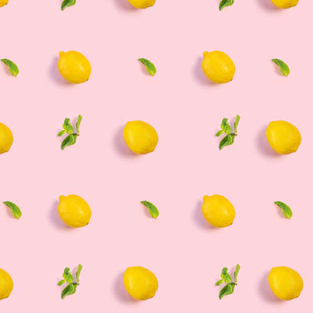 Bright pattern of fresh whole lemons and mint on a pink background. Citrus, vitamin C, fruit.の写真素材