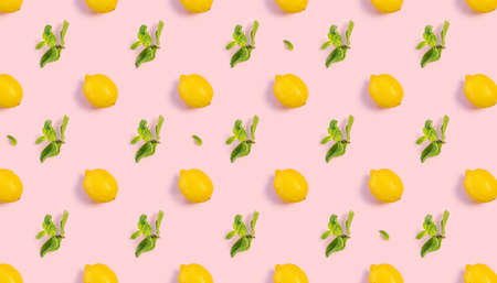 Bright pattern of fresh whole lemons and mint on a pink background. Citrus, vitamin C, fruit.の写真素材
