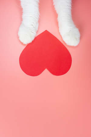 Cat paws and paper red heart on a pink background. Cute pet love concept. Top view, minimalism, copy space.の写真素材