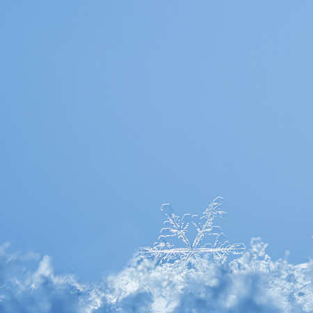 Snowflakes close-up. Macro photo. The concept of winter, cold, beauty of nature. Copy space.